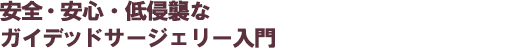安全・安心・低侵襲なガイデッドサージェリー入門